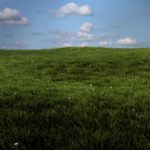 Grass in 3D, a CG Blender Rendered Field