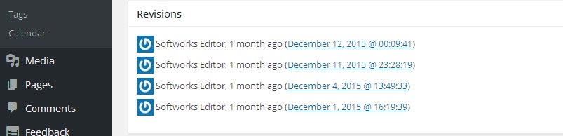 Multiple WordPress Post Revisions