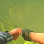 Dying Light: the Following