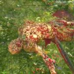 Dying Light: the Following