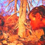 Far Cry Primal Game