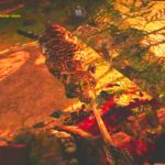 Far Cry Primal Game