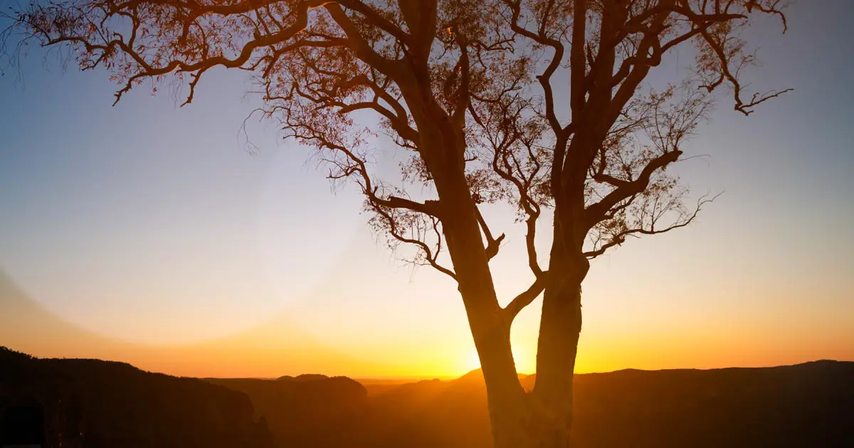 Qt Cloud Services Sunset