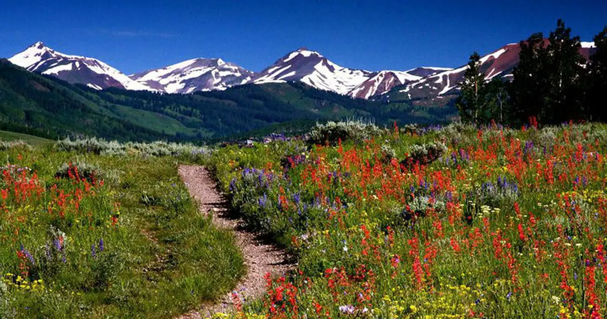 C++Now 2016 Conference Maroon Bells Aspen
