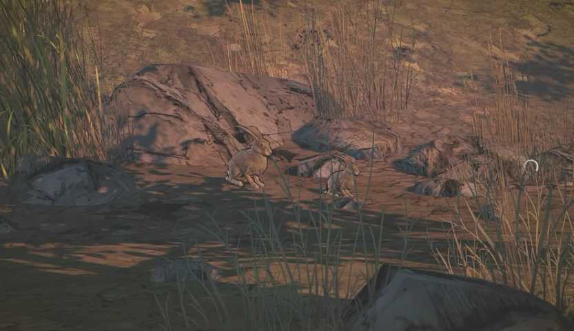 The Walking Dead a new Frontier