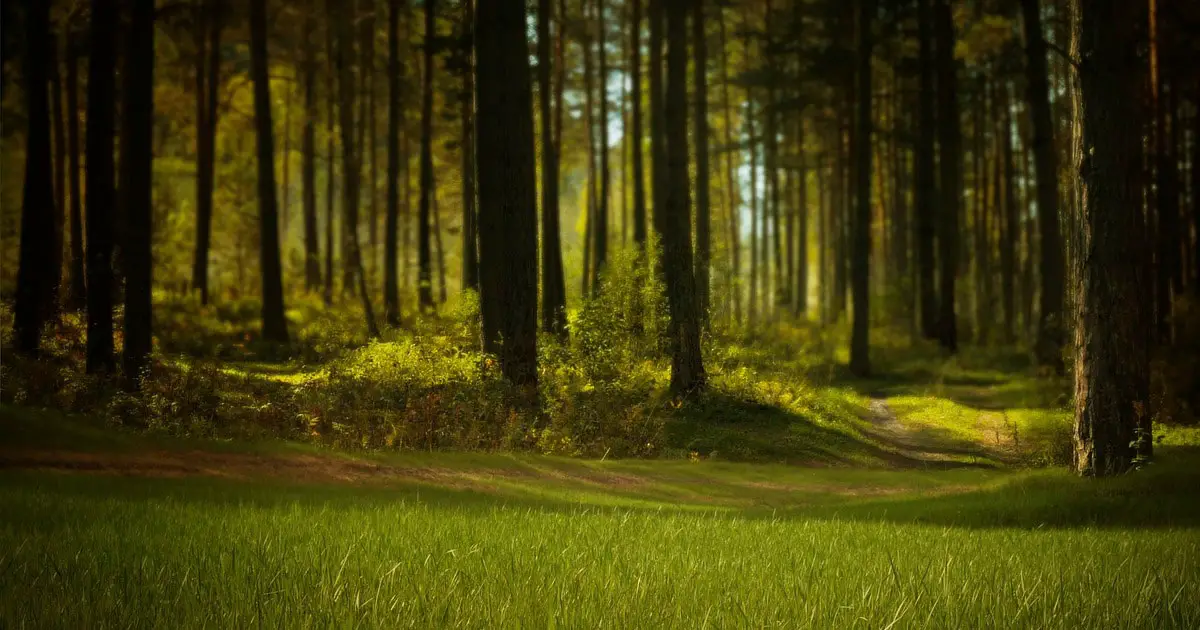 Vulkan Ray Tracing
