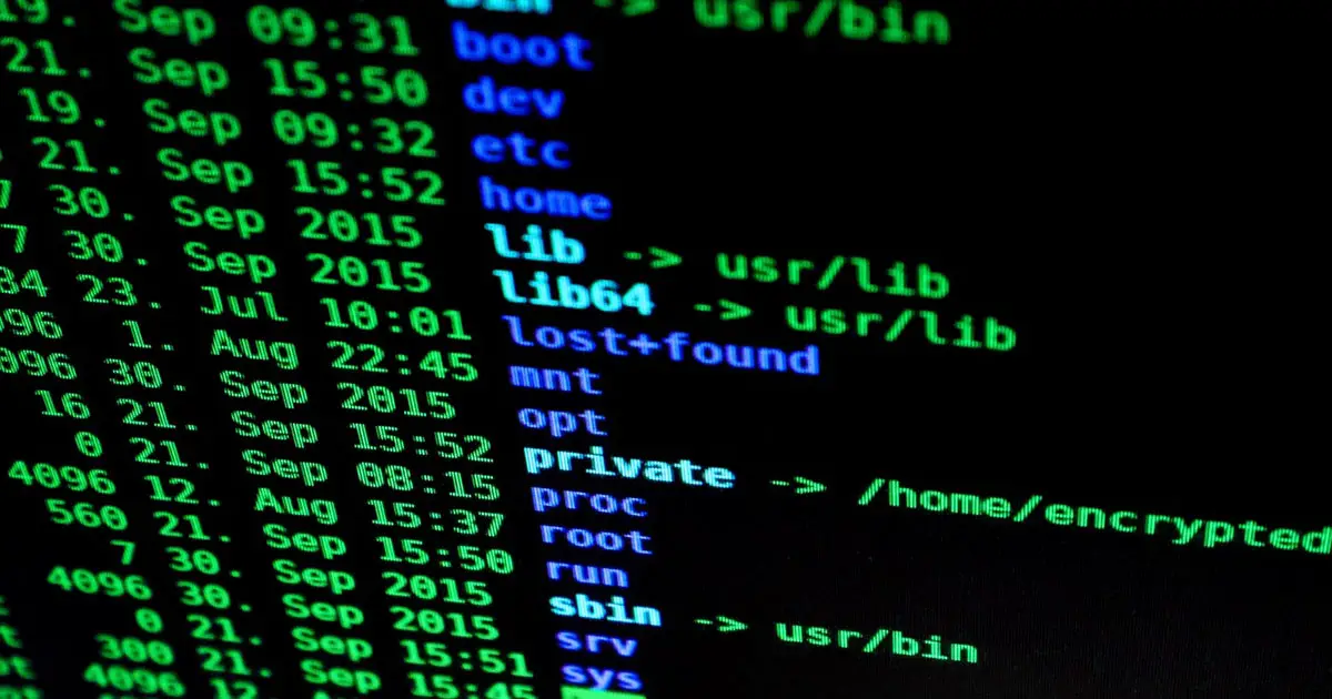 bad interpreter: No such file or directory