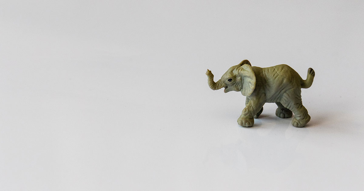 Laravel 8.22 Release
