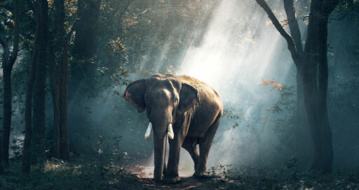 How to Install PostgreSQL 16 on Ubuntu 22.04
